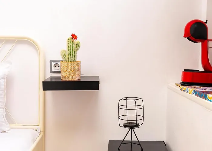 House Of History , In The Main Street Plovdiv