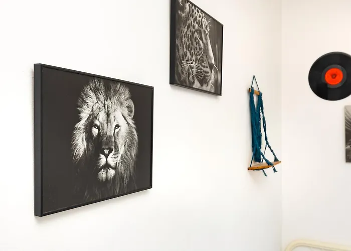 House Of History , In The Main Street